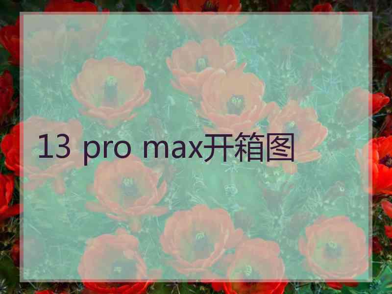 13 pro max开箱图