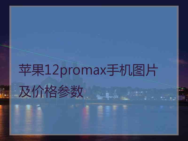 苹果12promax手机图片及价格参数