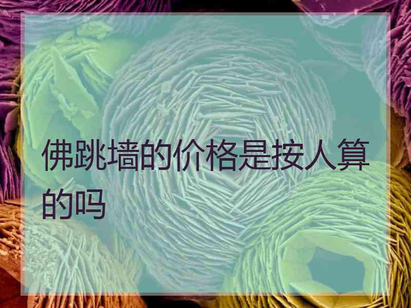 佛跳墙的价格是按人算的吗