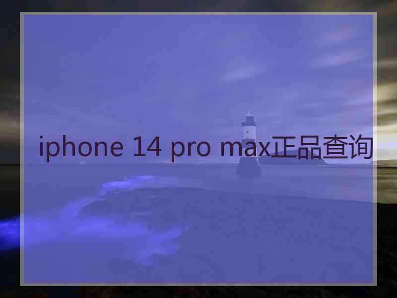 iphone 14 pro max正品查询