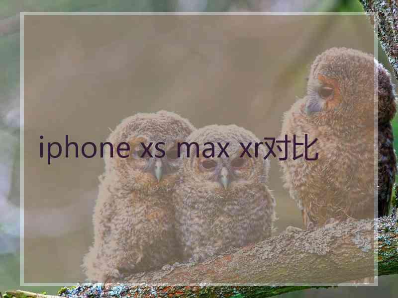 iphone xs max xr对比