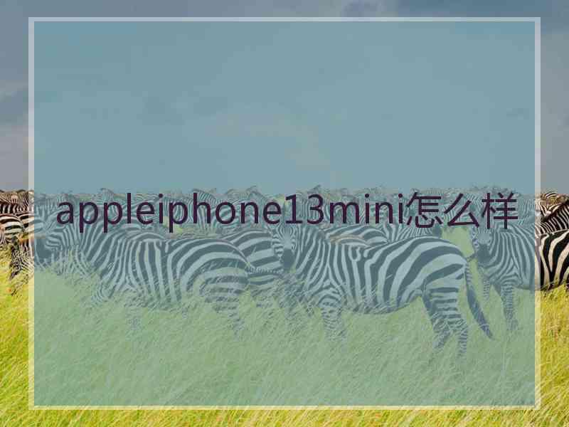 appleiphone13mini怎么样