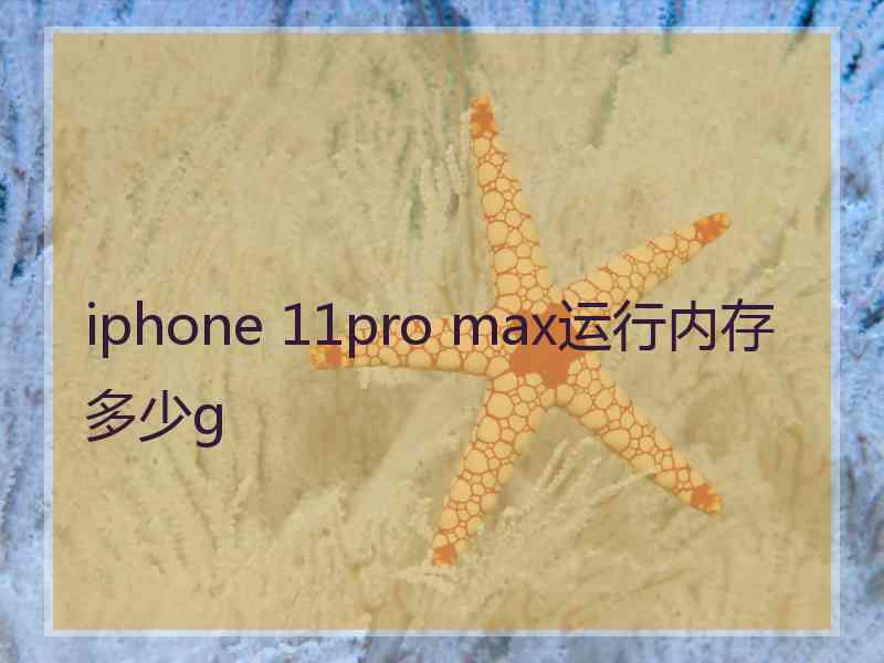 iphone 11pro max运行内存多少g