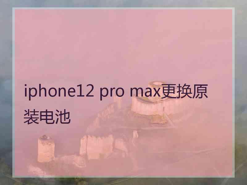 iphone12 pro max更换原装电池