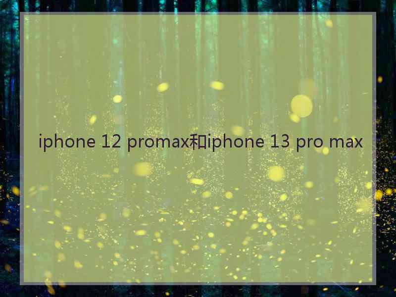 iphone 12 promax和iphone 13 pro max