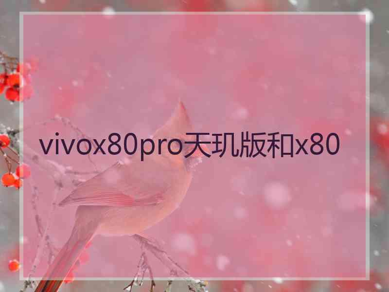 vivox80pro天玑版和x80