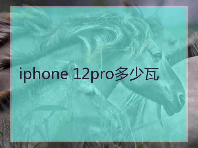 iphone 12pro多少瓦