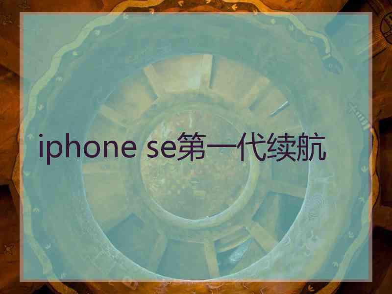 iphone se第一代续航