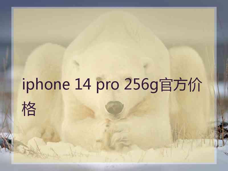 iphone 14 pro 256g官方价格