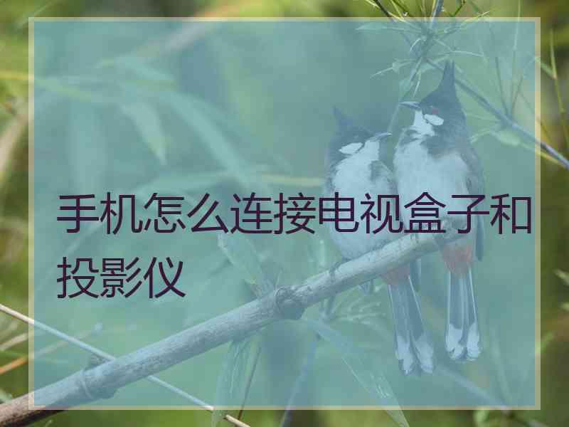 手机怎么连接电视盒子和投影仪