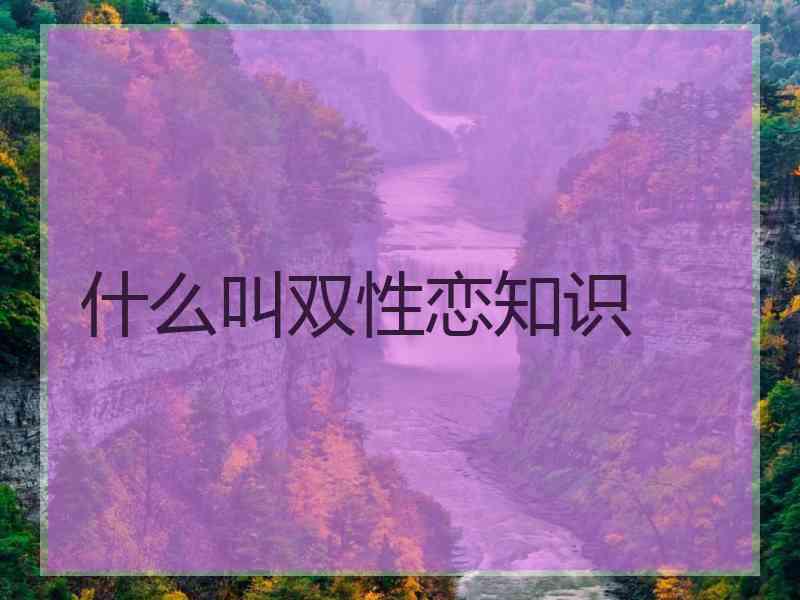 什么叫双性恋知识