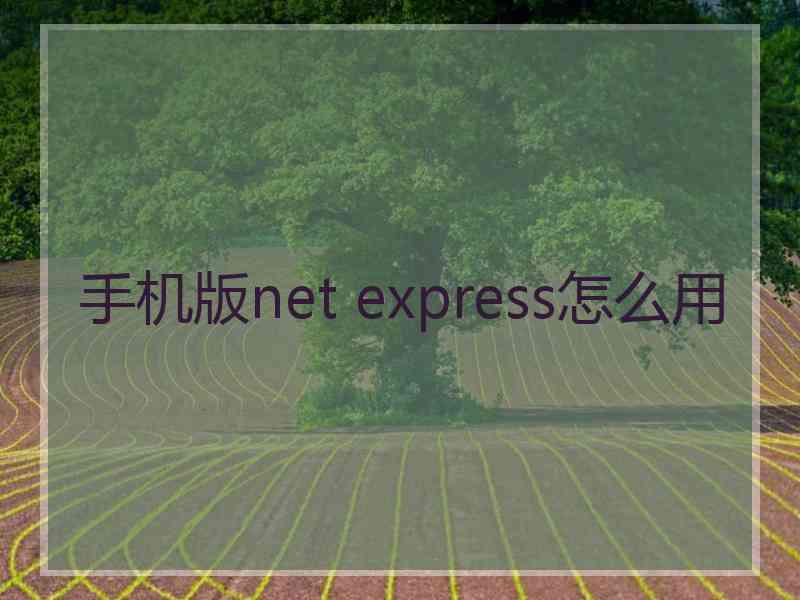 手机版net express怎么用