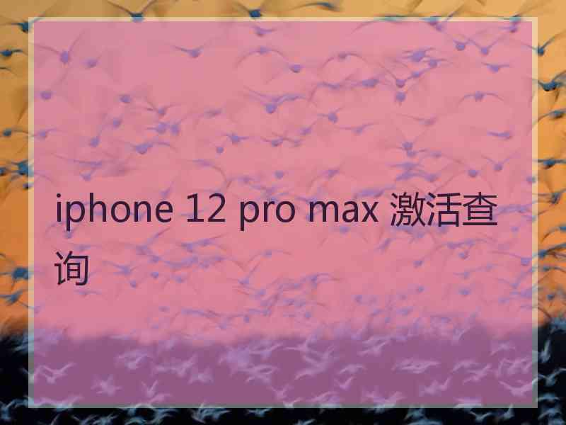 iphone 12 pro max 激活查询