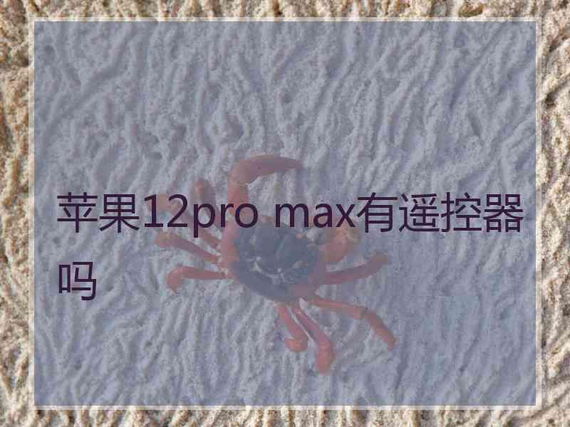 苹果12pro max有遥控器吗