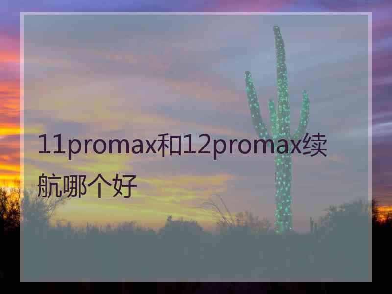 11promax和12promax续航哪个好