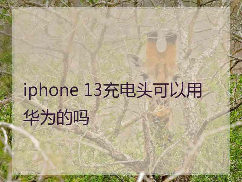 iphone 13充电头可以用华为的吗