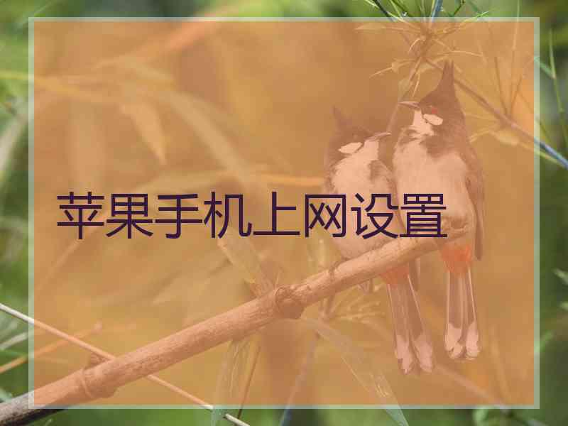 苹果手机上网设置