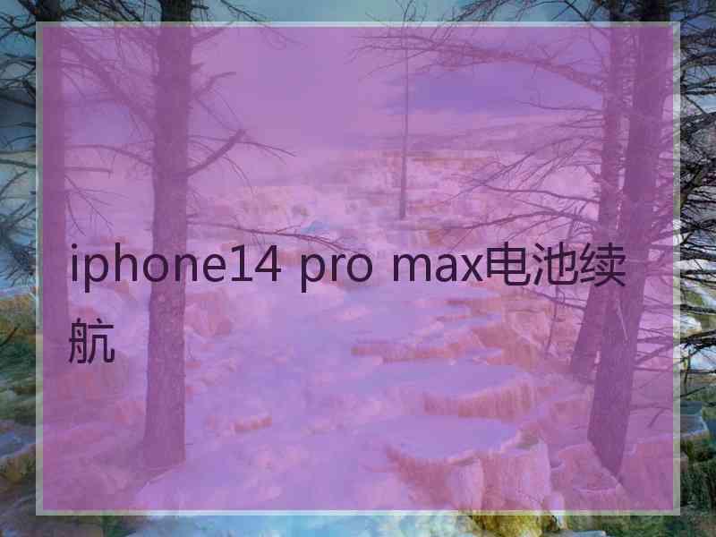 iphone14 pro max电池续航