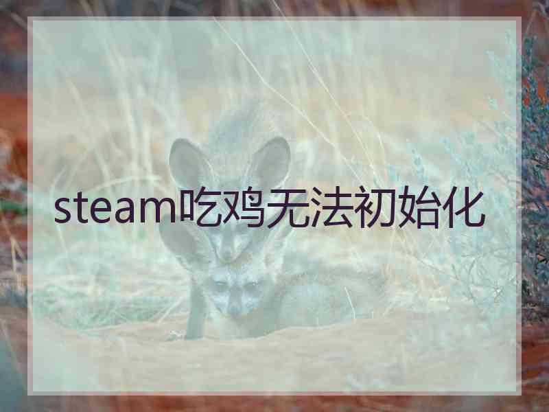 steam吃鸡无法初始化