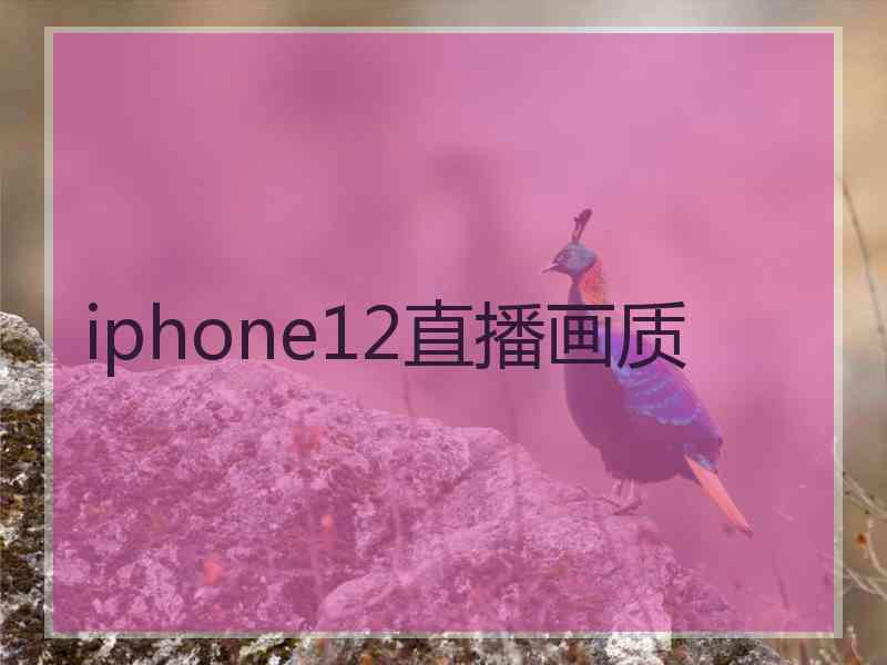 iphone12直播画质