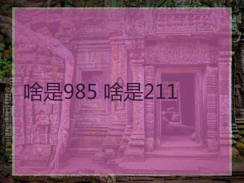 啥是985 啥是211