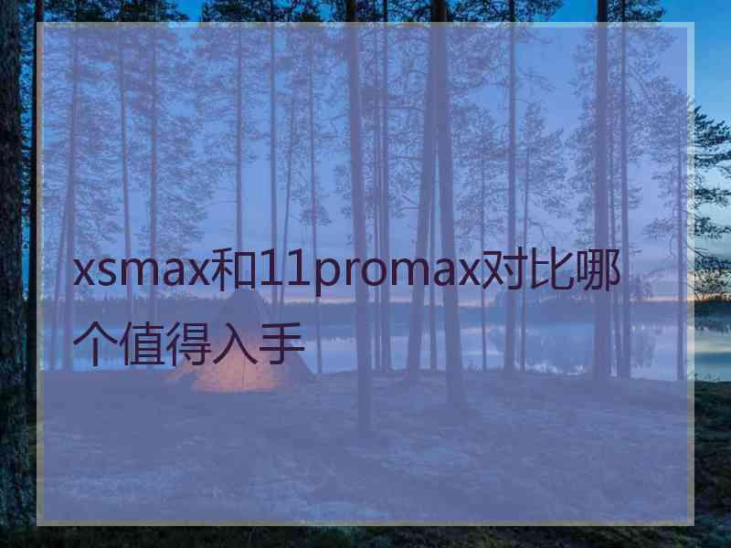 xsmax和11promax对比哪个值得入手