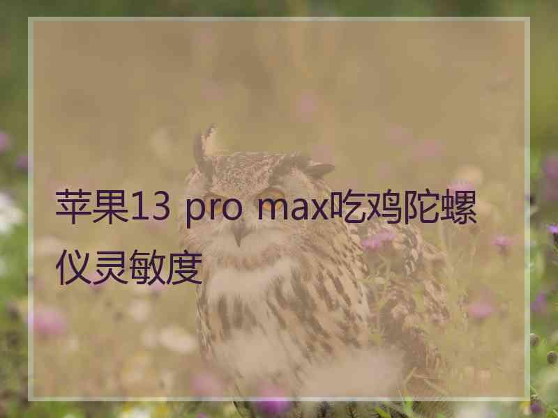 苹果13 pro max吃鸡陀螺仪灵敏度