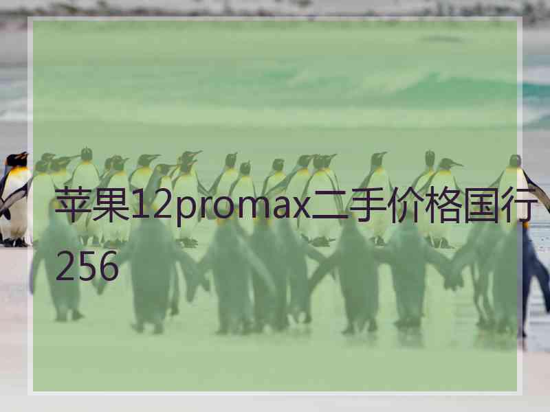 苹果12promax二手价格国行256