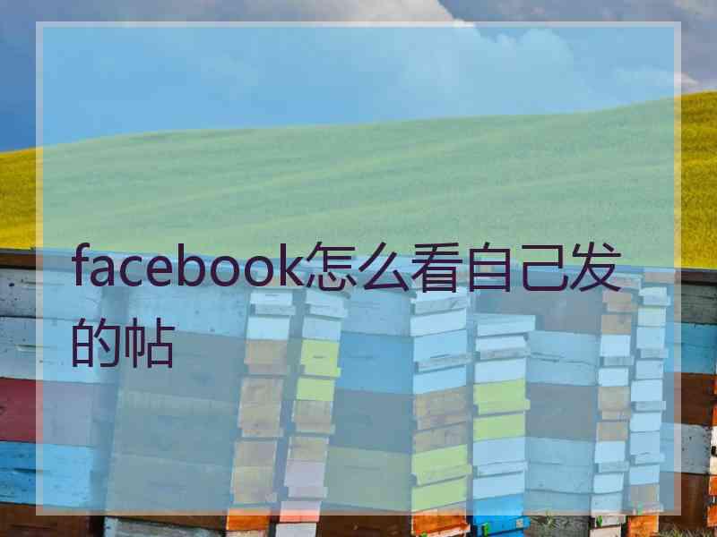 facebook怎么看自己发的帖