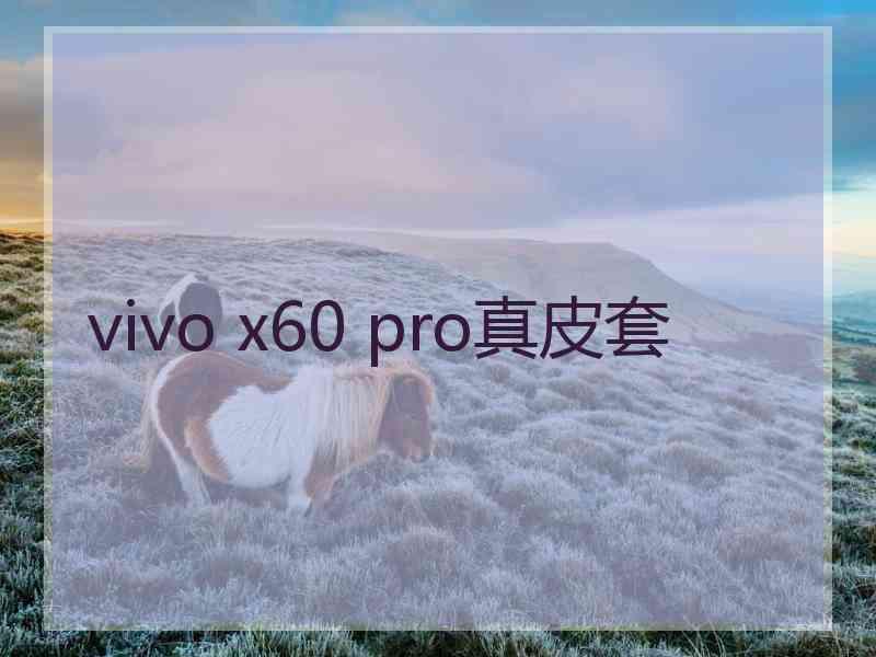 vivo x60 pro真皮套