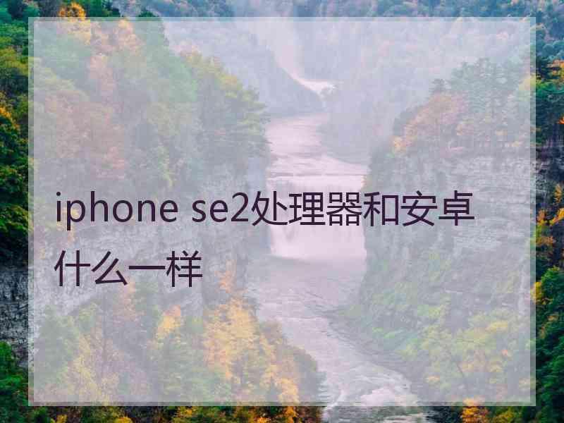 iphone se2处理器和安卓什么一样