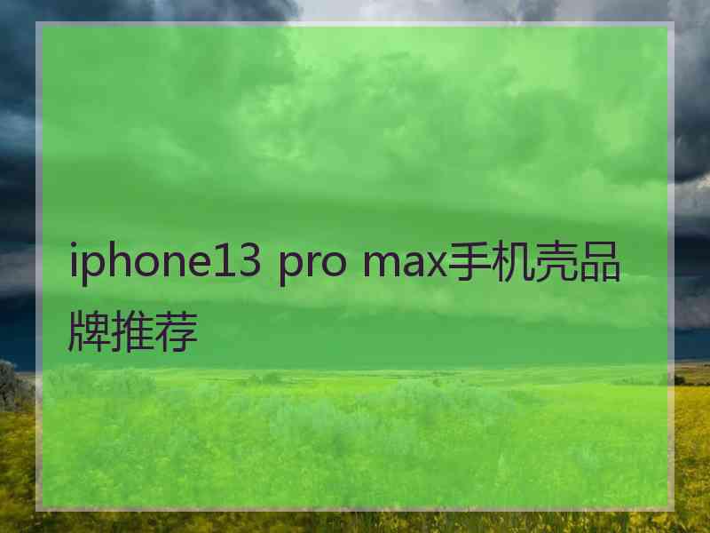 iphone13 pro max手机壳品牌推荐