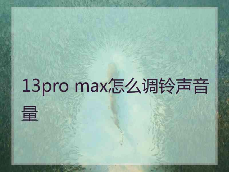 13pro max怎么调铃声音量