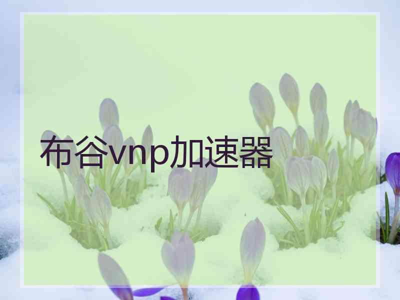 布谷vnp加速器