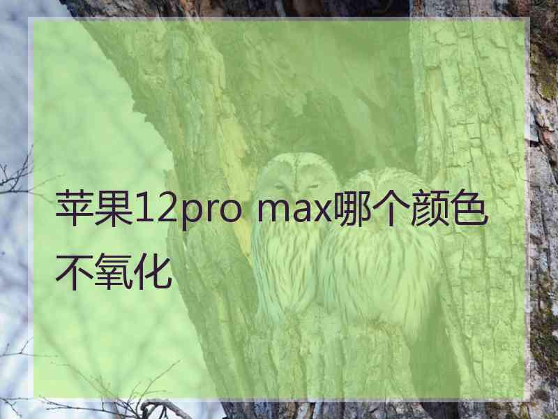 苹果12pro max哪个颜色不氧化