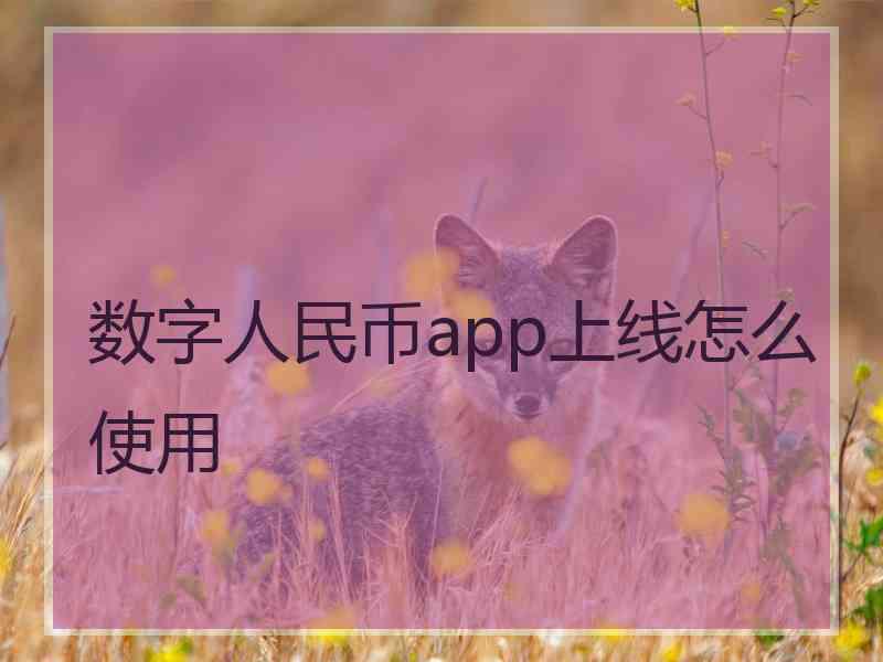 数字人民币app上线怎么使用