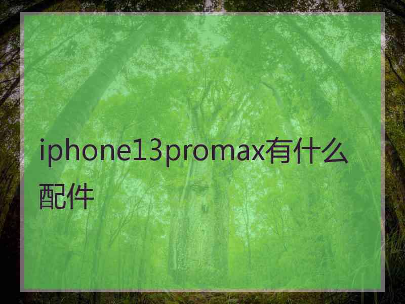 iphone13promax有什么配件