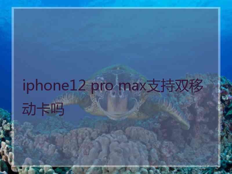 iphone12 pro max支持双移动卡吗