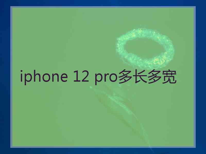 iphone 12 pro多长多宽