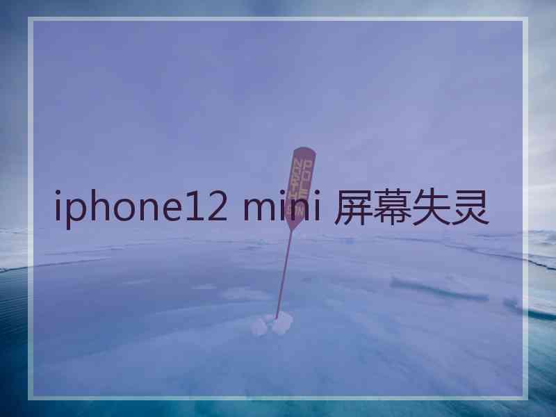 iphone12 mini 屏幕失灵