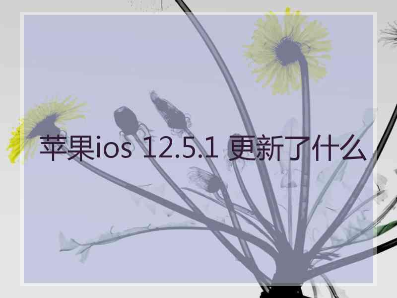 苹果ios 12.5.1 更新了什么