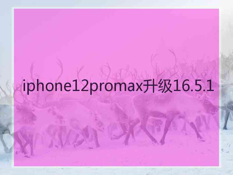 iphone12promax升级16.5.1