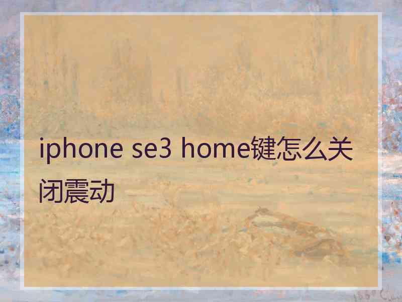 iphone se3 home键怎么关闭震动