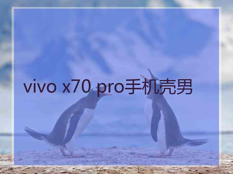 vivo x70 pro手机壳男