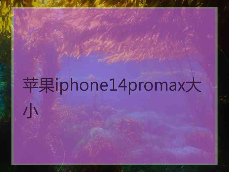 苹果iphone14promax大小