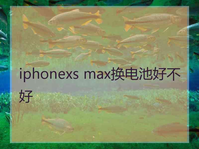 iphonexs max换电池好不好