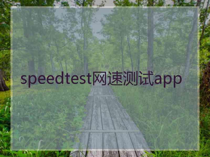 speedtest网速测试app