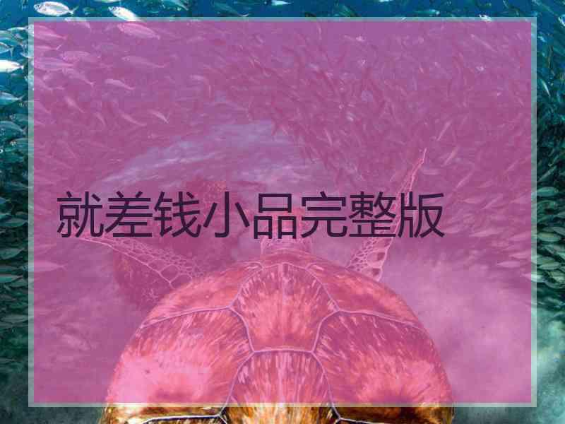 就差钱小品完整版