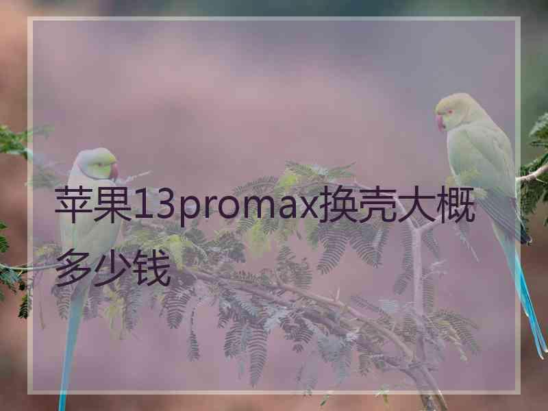 苹果13promax换壳大概多少钱