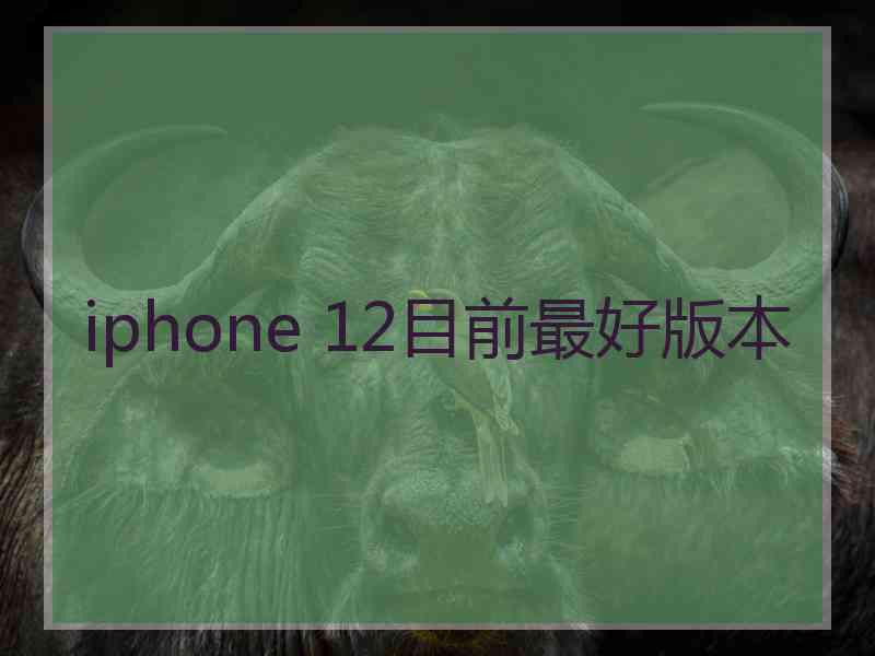 iphone 12目前最好版本